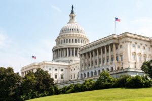 Bankruptcy & The Separation Of Powers – Legislative and Executive Branches